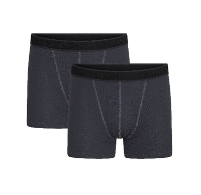 2-Pack Sven heren boxershorts Beeren Young Grijs (Microvezel)